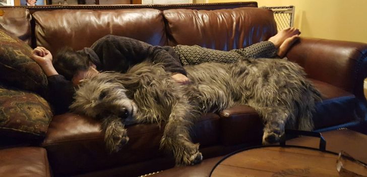 2549445cd5b0c913f9ec8d0860