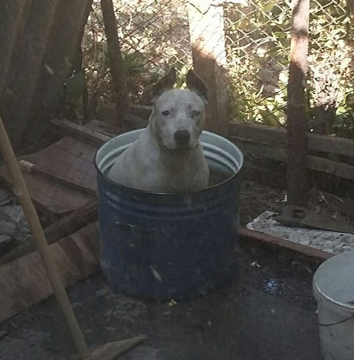 254ccf519e9476e495ed7be3ec