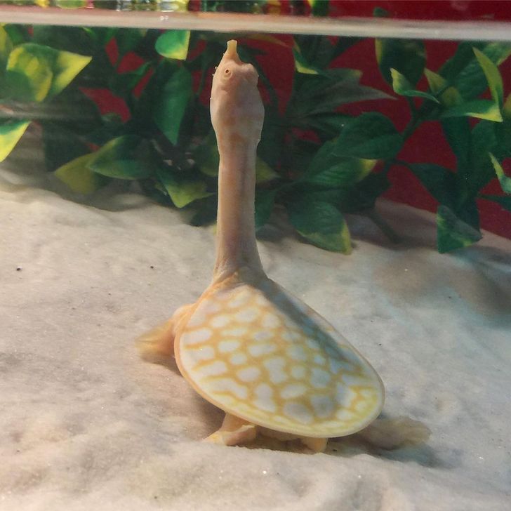 254d045fab979fa51e1a3b7e38