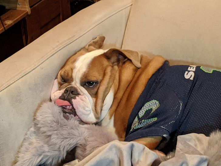 25513550dcadda930a63965034