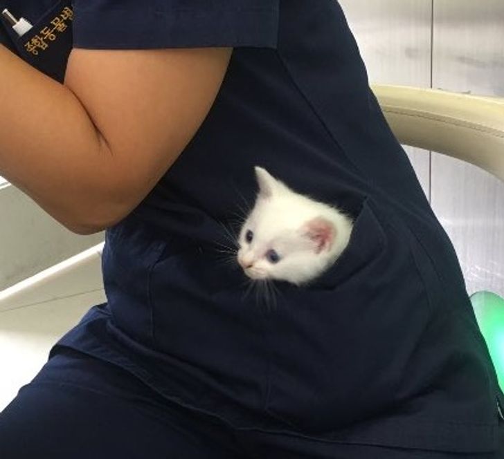 255528524983cf3df312db290f