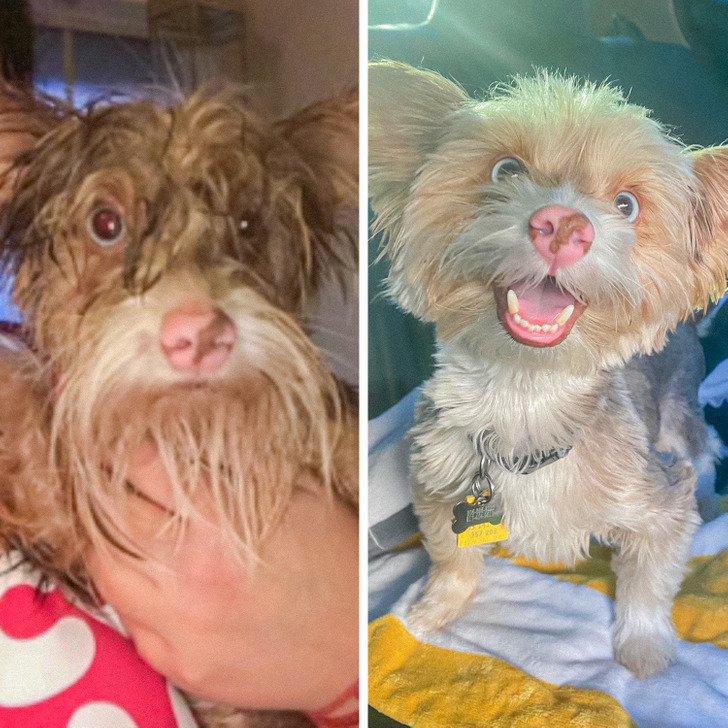 2558e759da8772bdec92cf5ad0 2558e759da8772bdec92cf5ad0