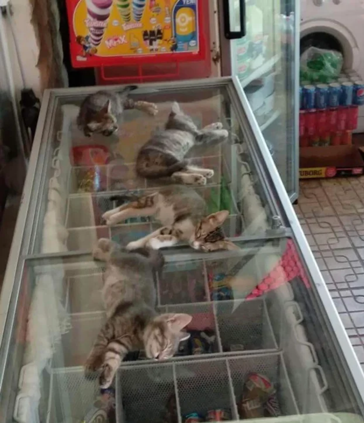 2562575abeb1660cf76bf482bf 2562575abeb1660cf76bf482bf