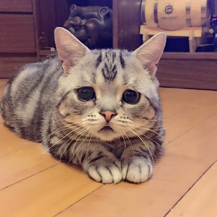 2566525fdfbbc844de283f63e9