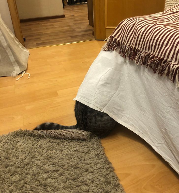 25671b51e6b34359f04cb35ac3