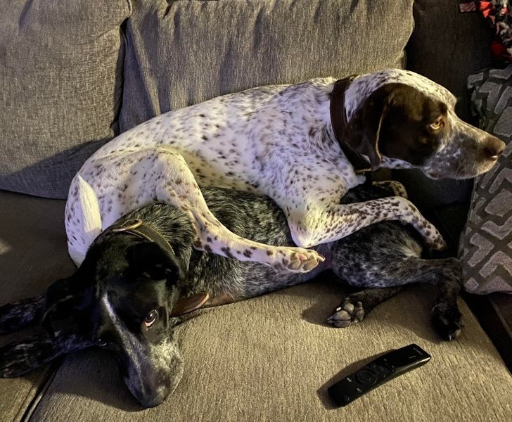 256ee659ea8eff09a1a068b038