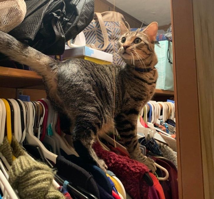 256ef25ff5ac4eb6517cbfb208