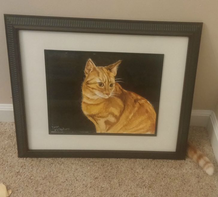 256f695c2da5b7f9dc55a9caff