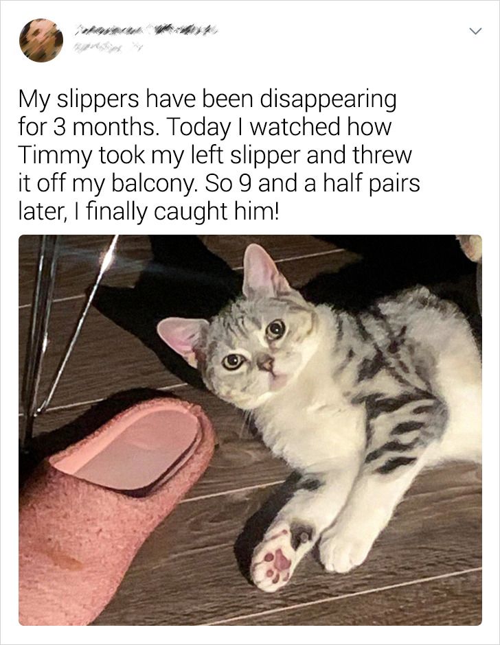 257374584688c8f4eac7b4e240