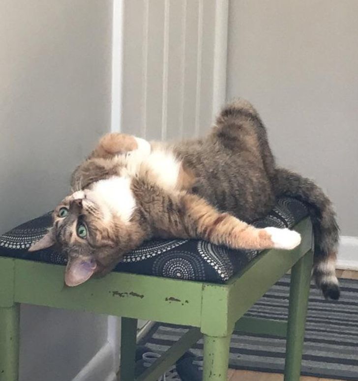 2583155c5dbe611c51709d98e9 2583155c5dbe611c51709d98e9