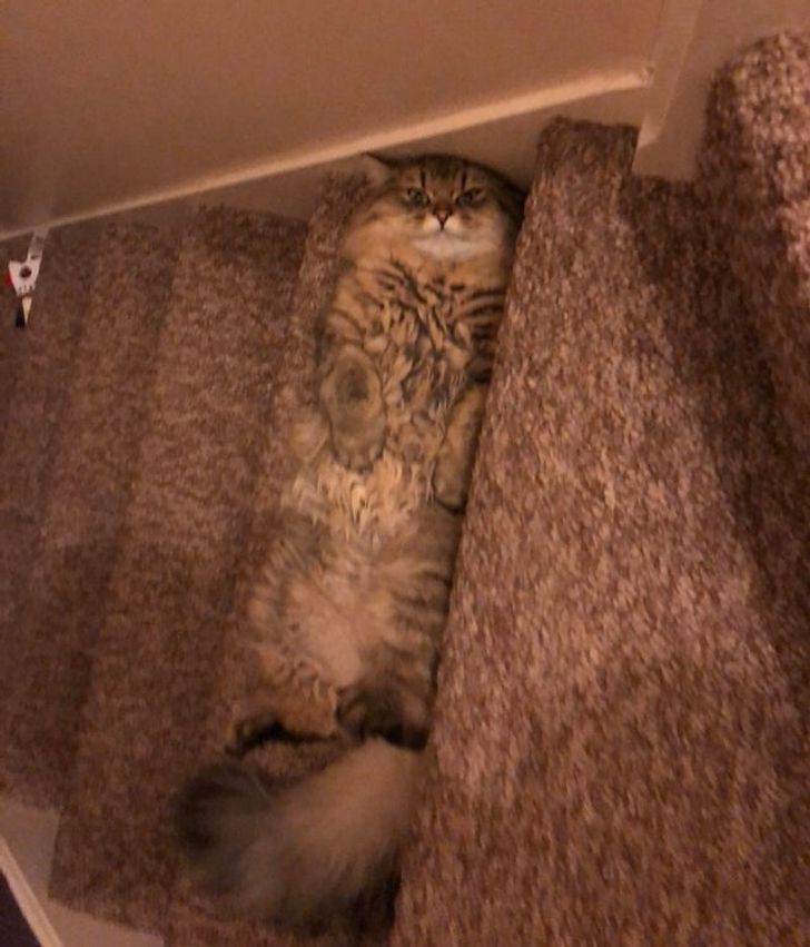 2583245064bf22f096be240e30