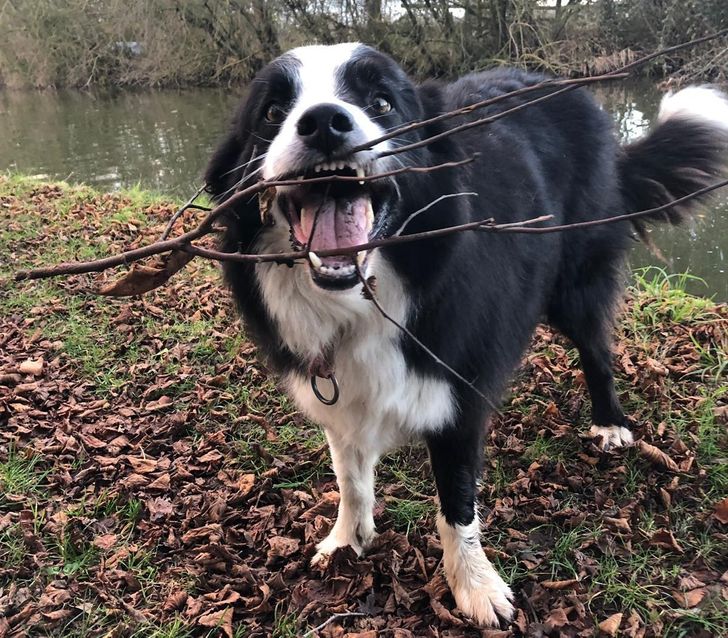 2584f45fdb8941d1b0c2c585ad