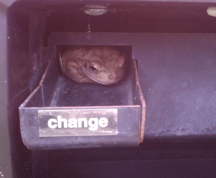 2587ad56abbd3ba58f8de36f06