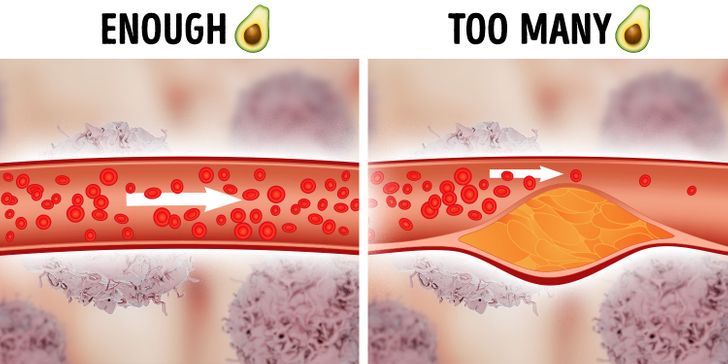 2588dc5de8b3b5026b25cc770c