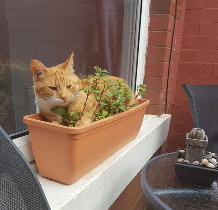 258bc759d4ab25eb59944d18d4