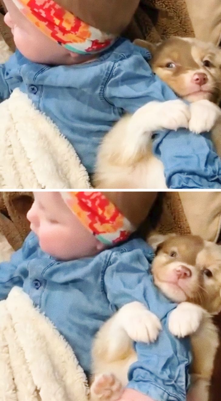 2598395eb08629d5f0d2889e14