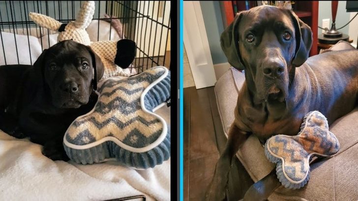 259bd457efb32fdea8bf33fa98