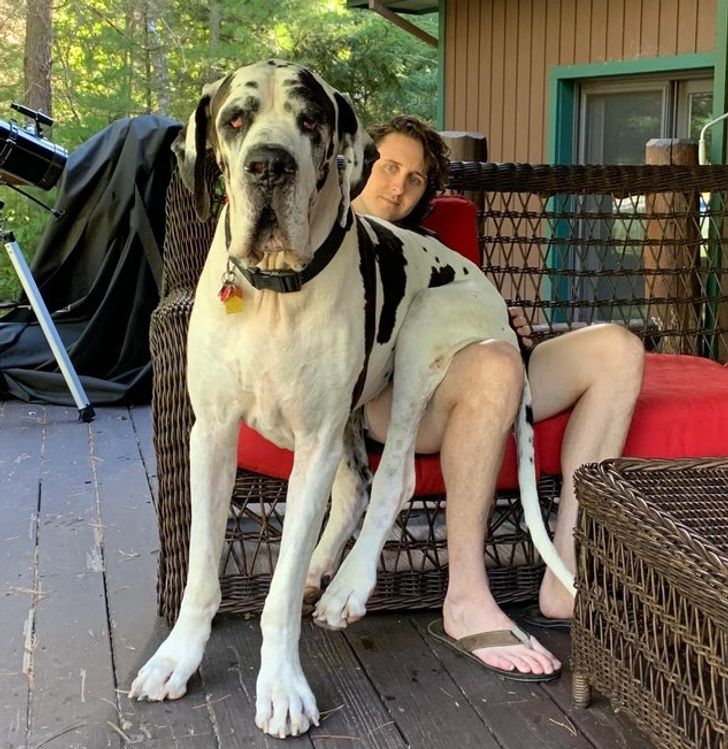 25a1bf57f7b6445eb6815a72e4