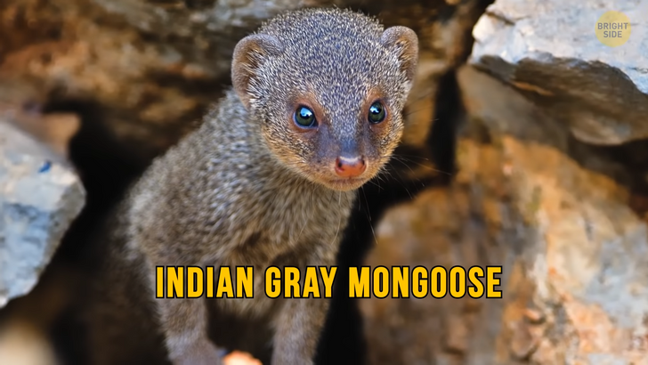 25abe8532483a91071a5de73cb