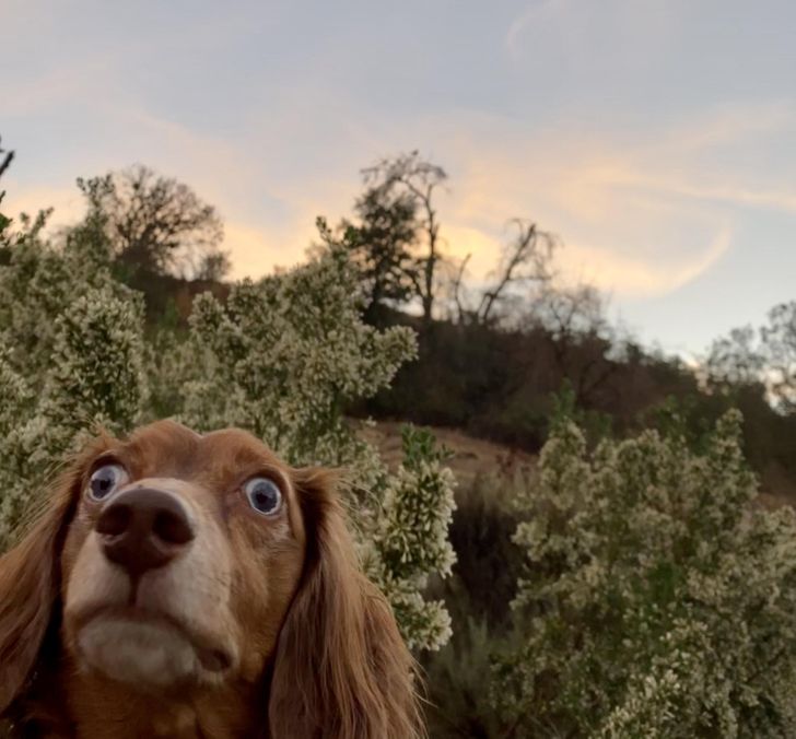 25ad2852e3999acc0baa1ebb4a