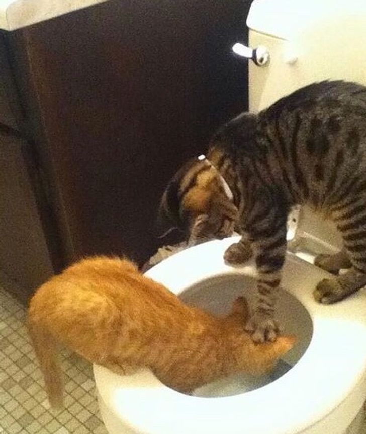 25ae8451d7b855b6ed0d00be5f