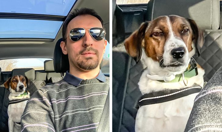 25b70c5a099302860310b790bb