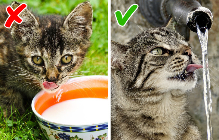 25bb9259df94cbf28c59a0fa41