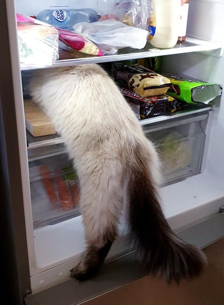 25bd58511e8600aebc3792f382