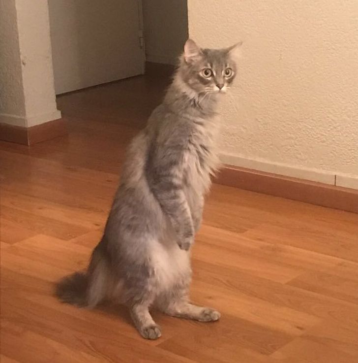 25c9f451668c43de6044032328