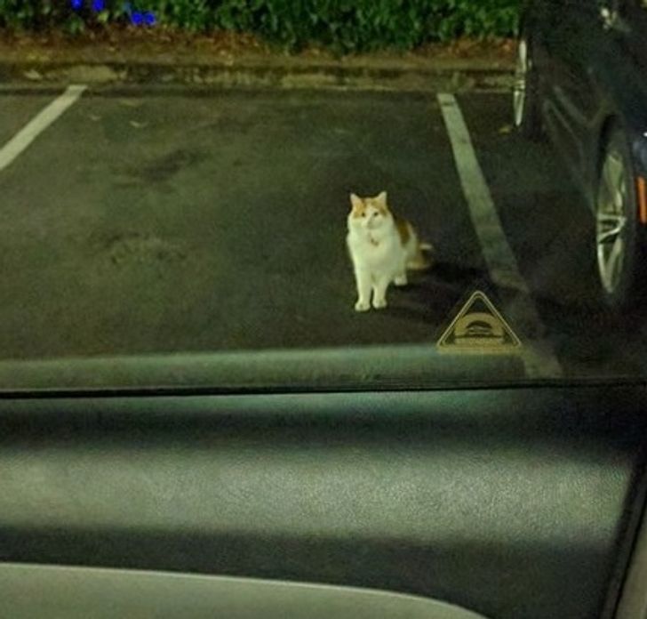 25d0955b32b85198cd05ca4b54