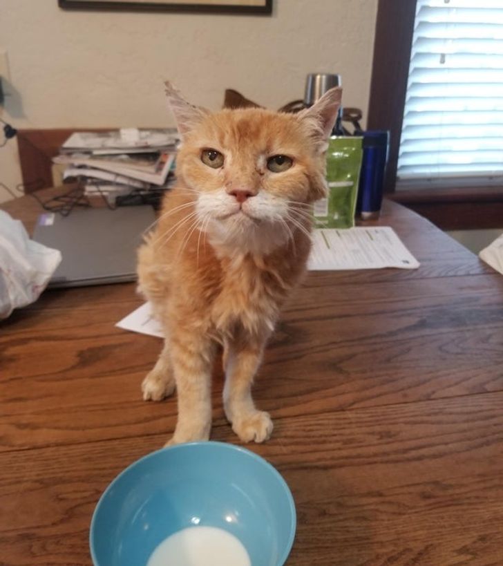 25d31a55feb4dcb6fcf21ae6ce