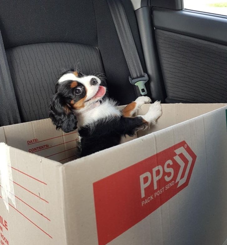 25da7c51b4a74f4bd9092314d5