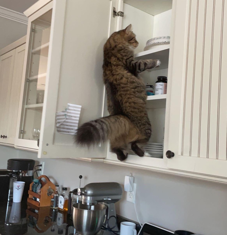 25dacb5c5094271863f874857b 25dacb5c5094271863f874857b