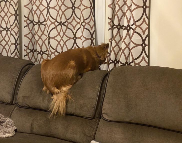 25e6b551e0bbf8b40c482ad4e9