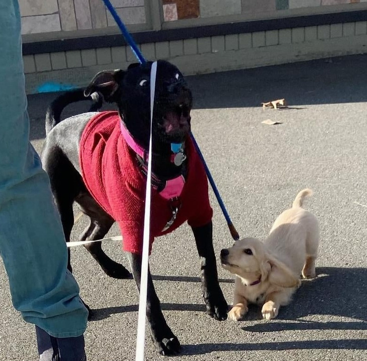 25efe25ee9a817e02d29d6055e