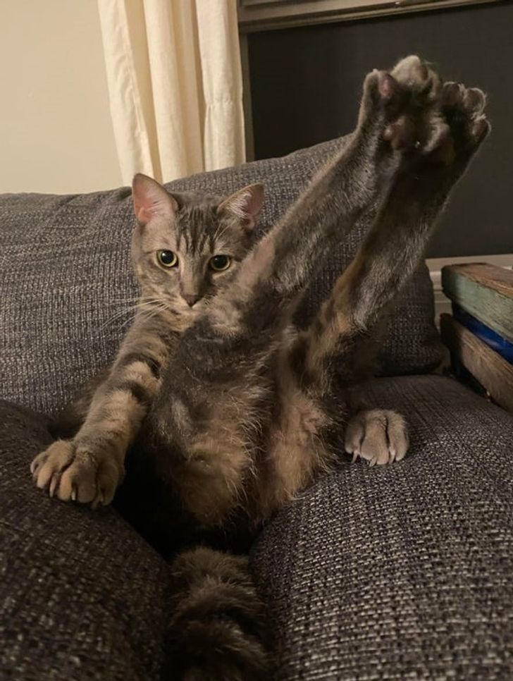 25f02051e5af764672dba3c976