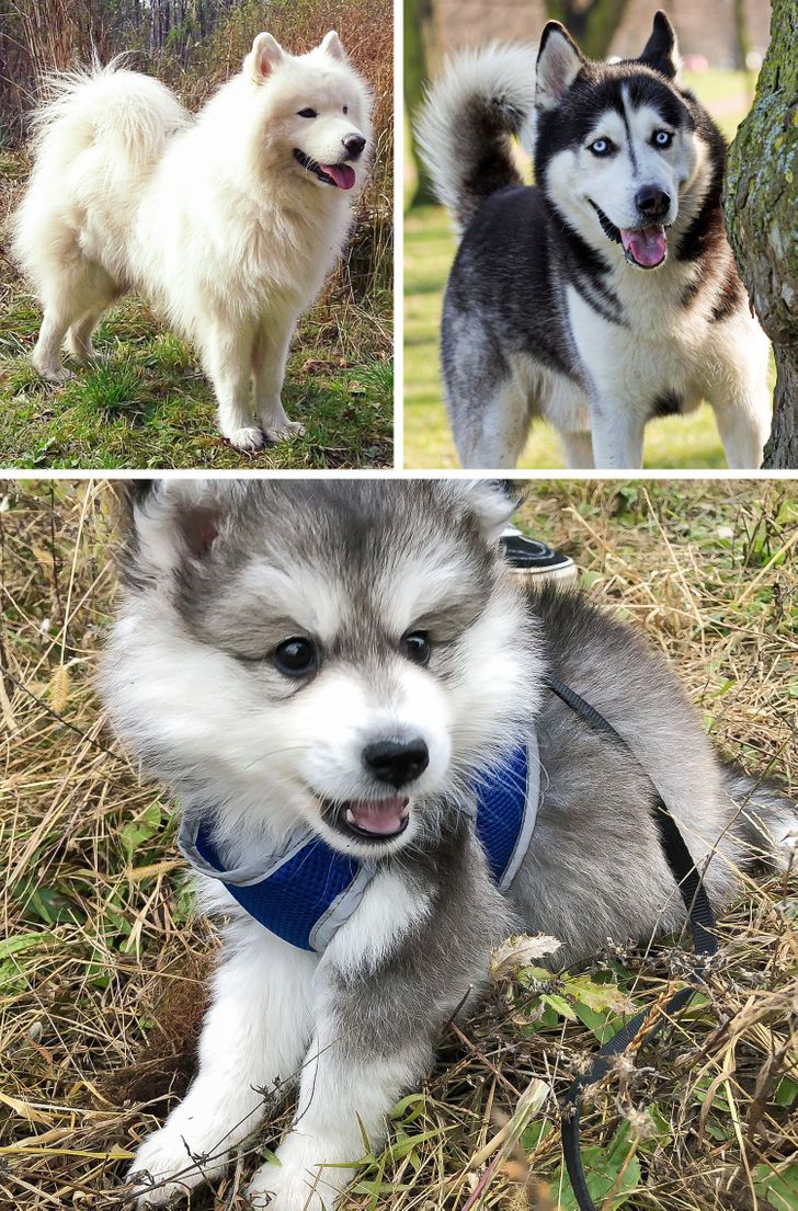 25fbc85ed5b4e8bb4d0fdd1639