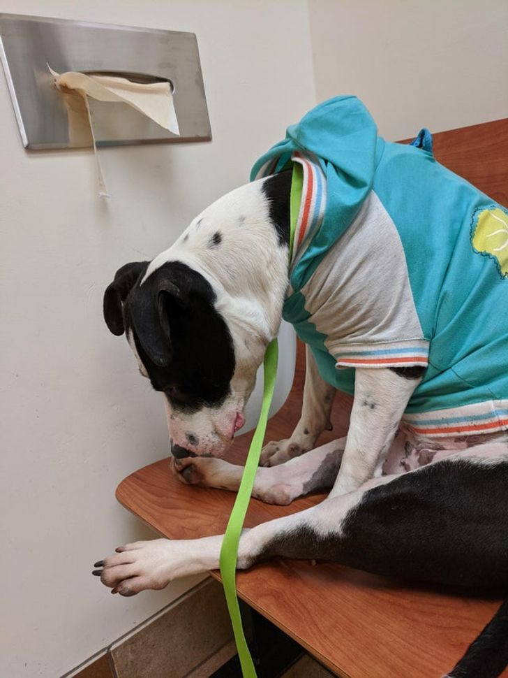 2609fb5d909be6fc4d5365e3c8