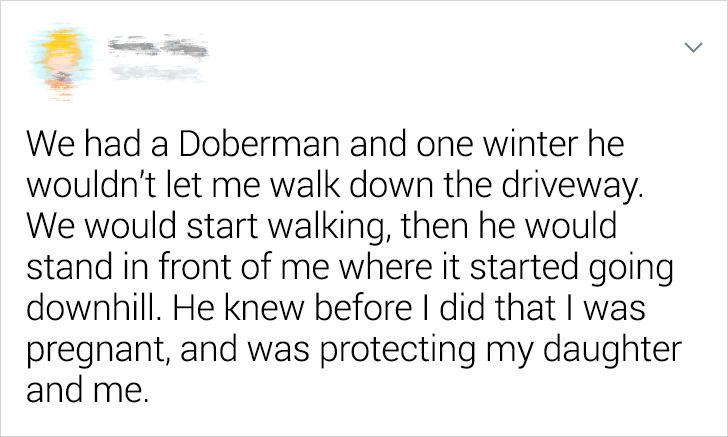 2617e45944a862434134cd1cb2