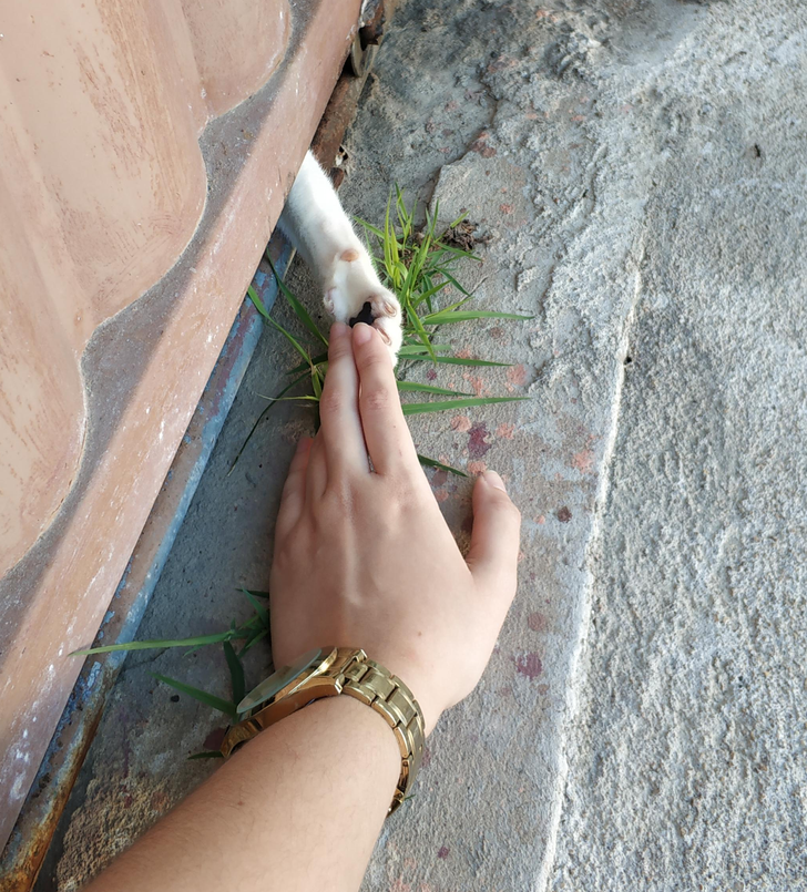 2619f7572fbfc49eca67d5c099