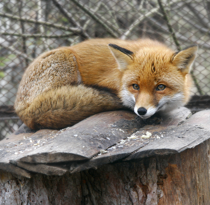 262357535faa13b34c791e6b88