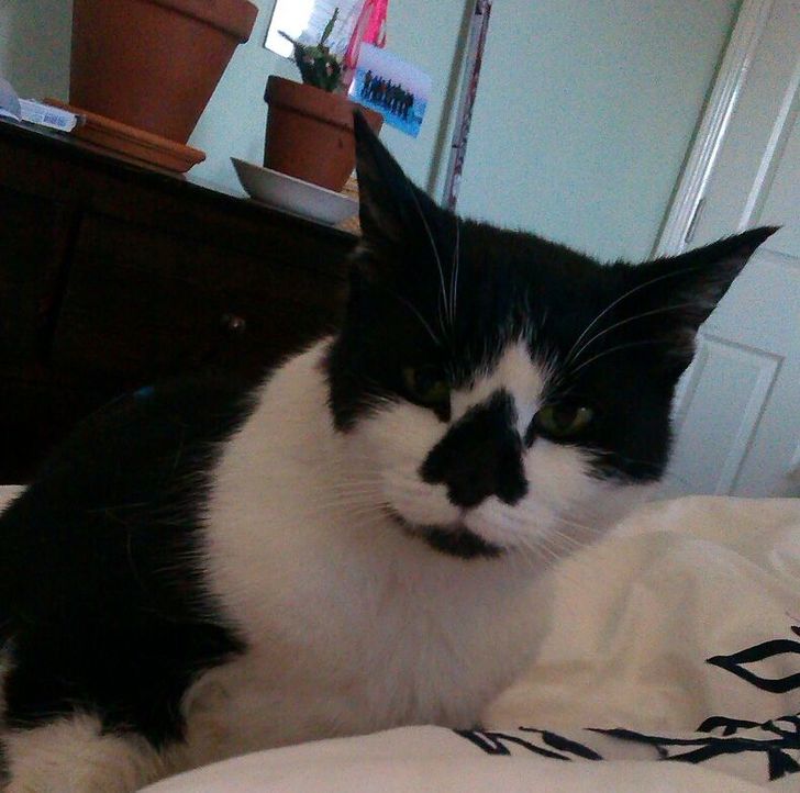 26244157fabe6a9c7f8fc862f6