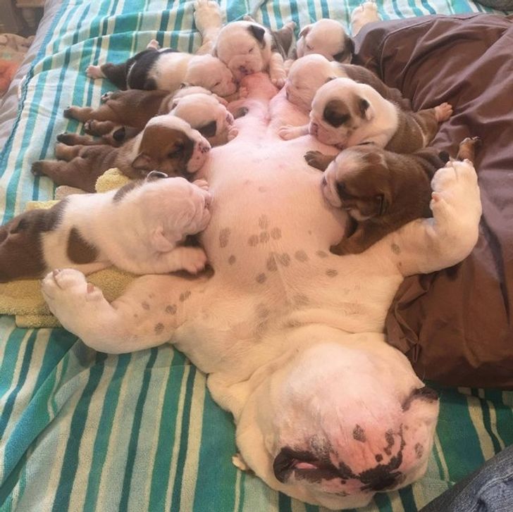 262b3350c9b0d780d4fc05b058