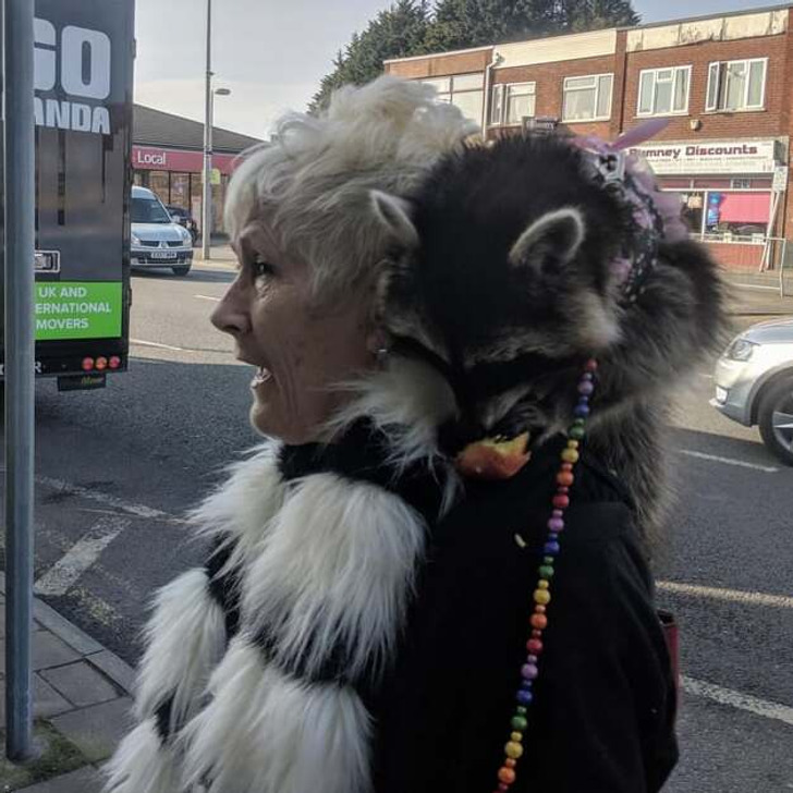 262b8759a1bd7c11441240d9d9 262b8759a1bd7c11441240d9d9