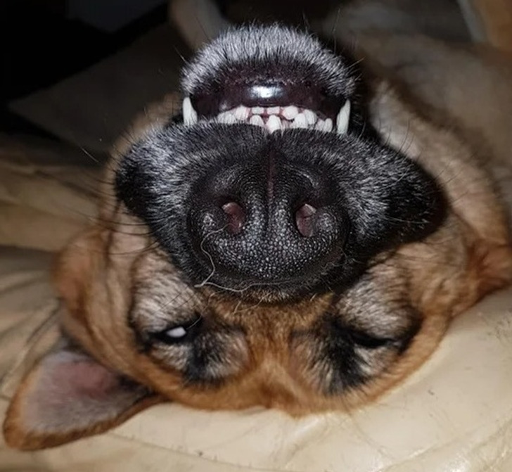 262c7d5cd3b53692ffa4b0524b