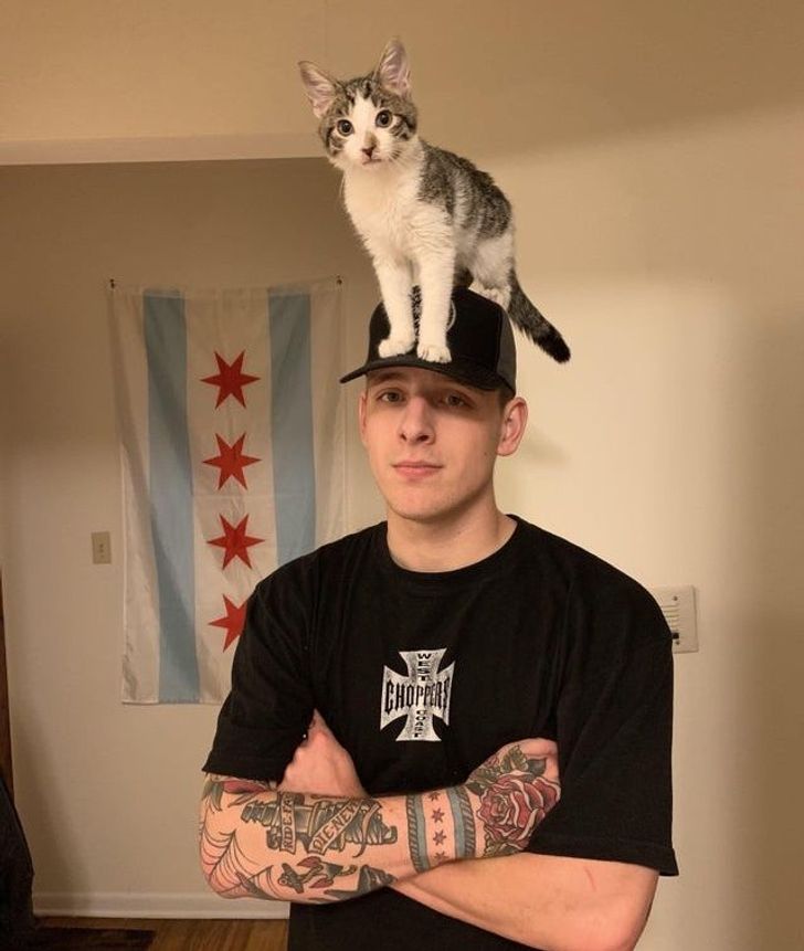 262d8153c08d50e70526d4bff1