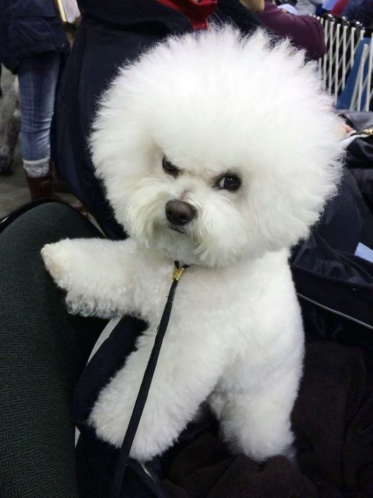 262e3857fa8574283b26fcfc31