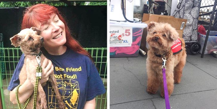 262f0252e18ede06bff017a2a6