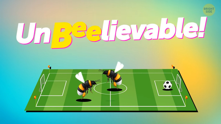 2631d75eb7ba2d7e0b488bd380