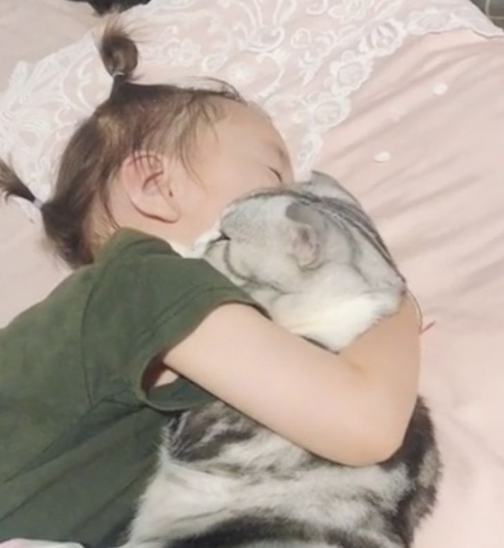 2632a45d77830a784a727b0641